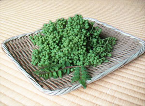 実山椒