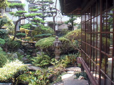 庭1