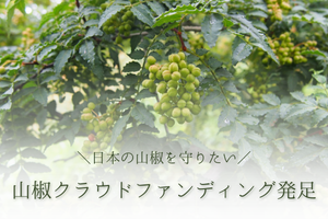 山椒クラウドファンディング
